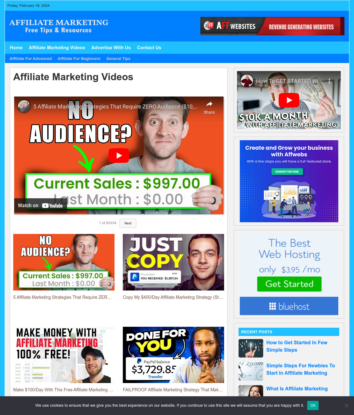 Affiliate Marketing Website Business For Sale: Ready-to-Launch Free Installation