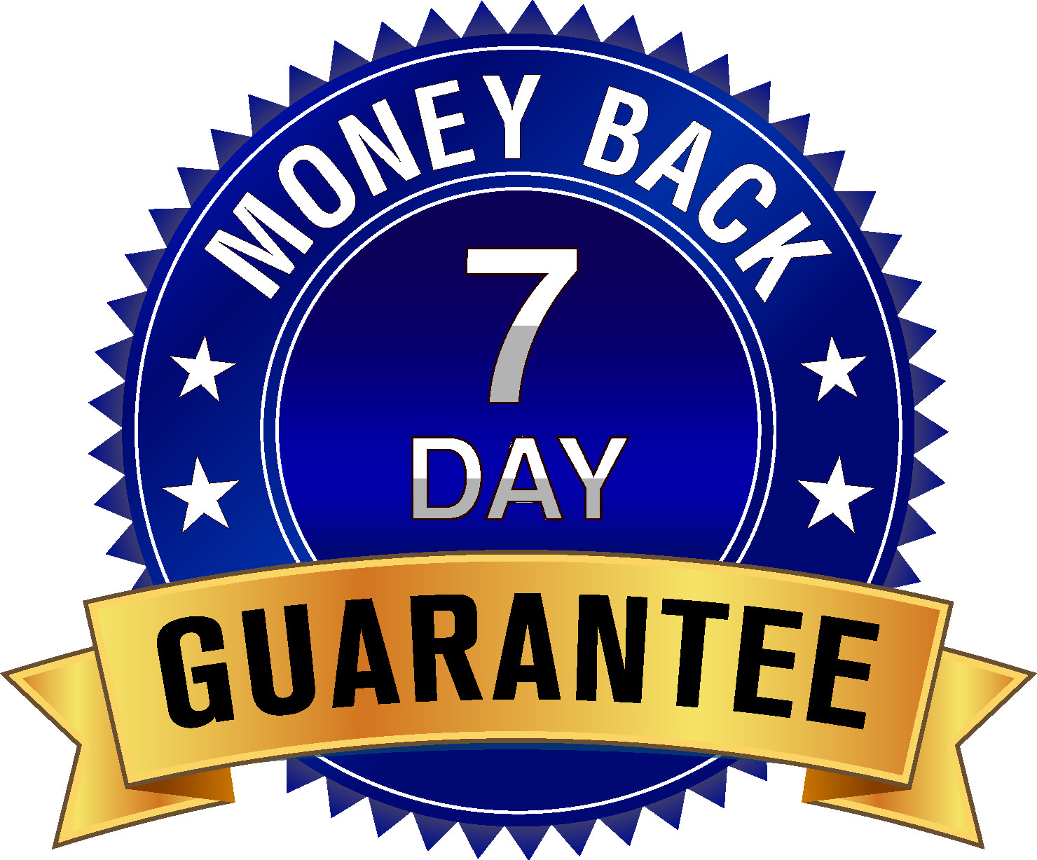 Launch Your Own Professional Intern Radio Website Business + 1 Month HOSTING