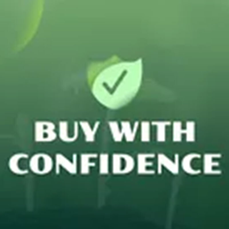 Professional Ebay Listing Template Mobile Friendly Design 2019 HTTPS Compiliant