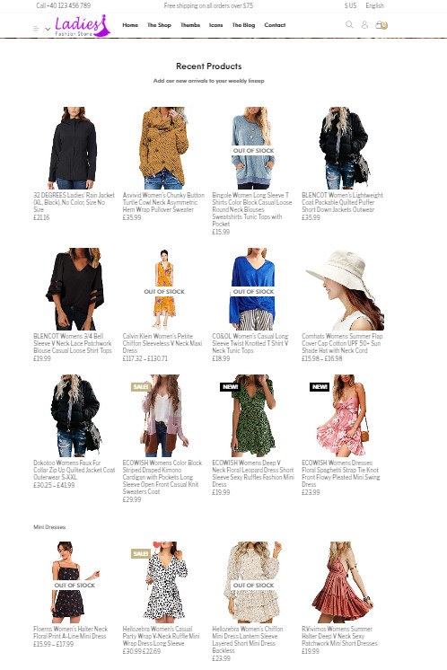Ready made Drop shipping website Free hosting & set up , Ladies Fashion Stores