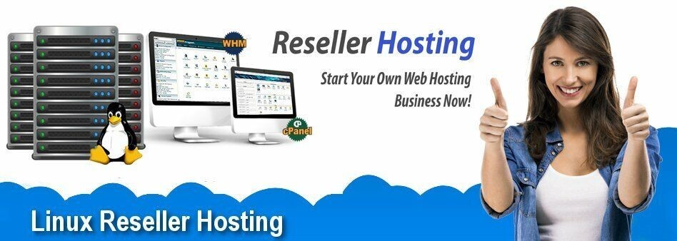 Hosting-Website-Billing Software-Plugins-Super Alpha Reseller-eMail-Traffic-PLR