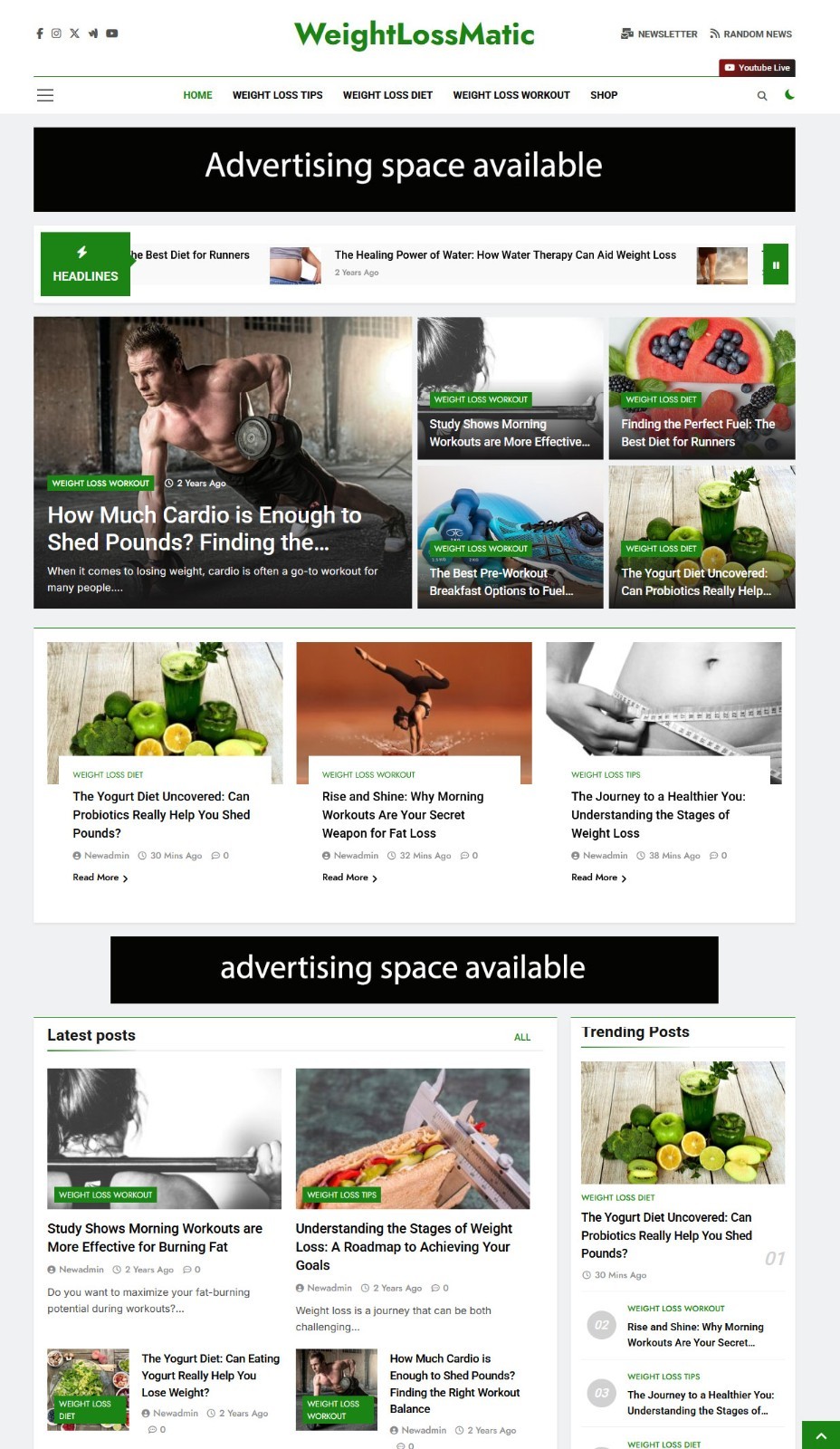 Weight Loss AI Blog Website + Affiliate & Drop Shipping