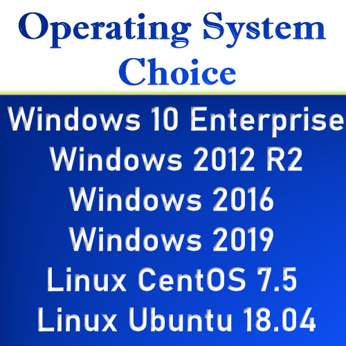 1 Year – VPS Server Linux/Windows