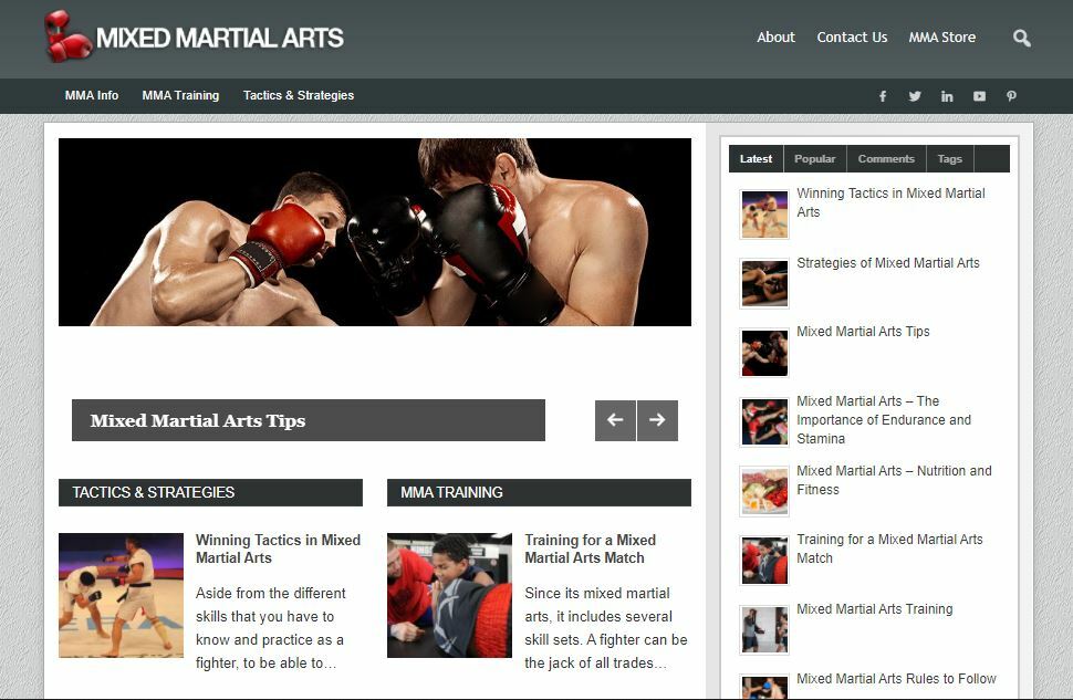 Mixed Martial Arts – Established Profitable Turnkey WordPress Website for Sale