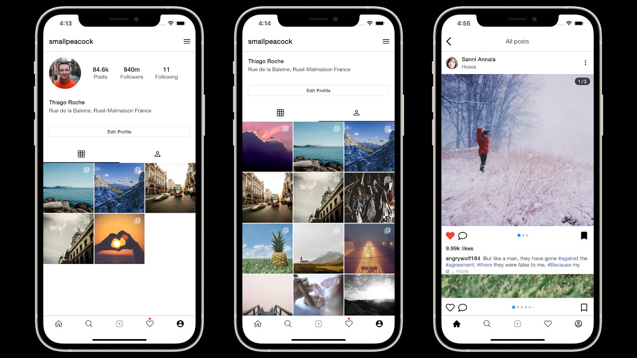 Snapogram Social Network Flutter App | Android + iOS | Photo Sharing Platform