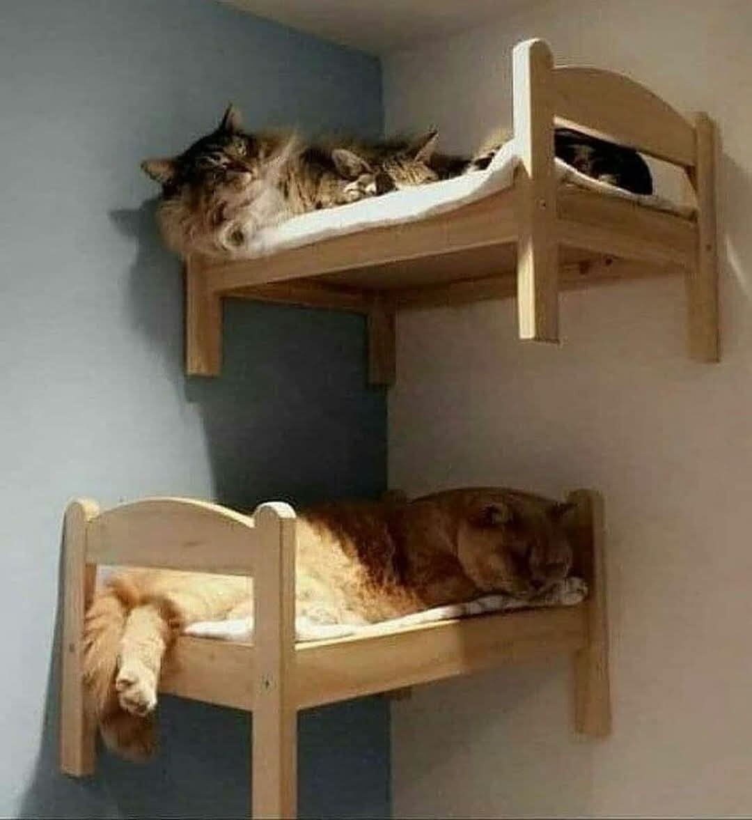 DIY wooden artcrafts and unique furnitures you can do and use, more than 800 +