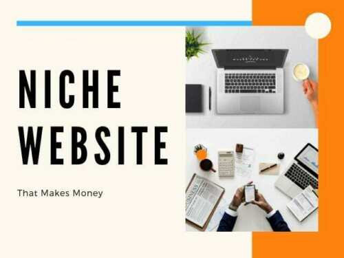 Depression Free Ready Made Site Turnkey Niche Website Business For Sale